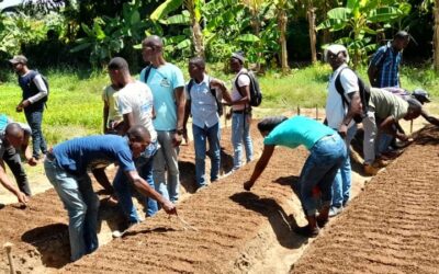 FERME AGRIBEL ET CENTRE DE FORMATION ETAGE SOUS LES EAUX